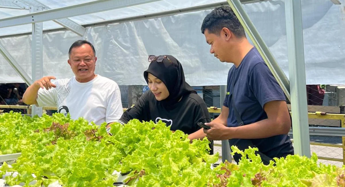 Kec. Samboja Barat Berpotensi Jadi Lumbung Sayur Modern Penopang IKN