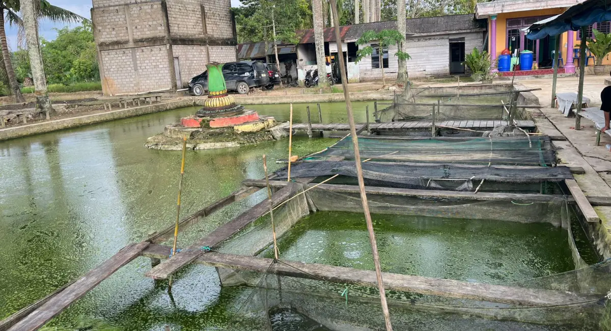 Loa Ulung Bangun Identitas Desa Lewat Budidaya Ikan Tawar