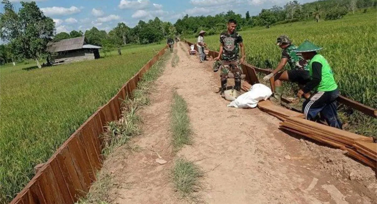 Akses Baru Buka Peluang Besar: Jalan Usaha Tani Antar-Kecamatan Pacu Produksi Pertanian