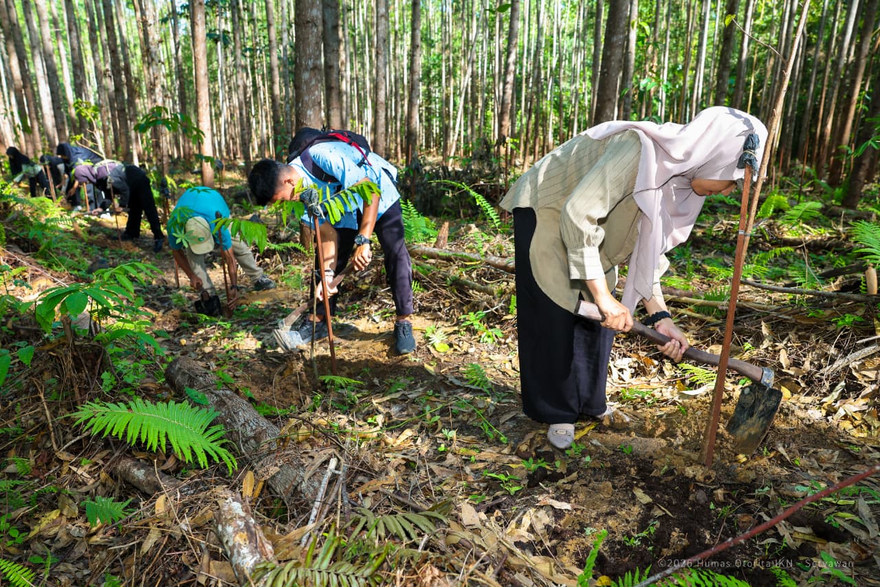 Ribuan Pengunjung Ikut Tanam Pohon di IKN Saat Libur Paskah untuk Pulihkan Hutan Tropis